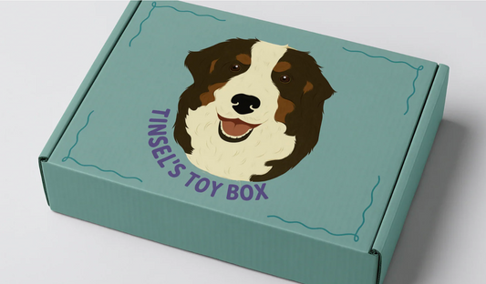Day Zero Essentials Kit